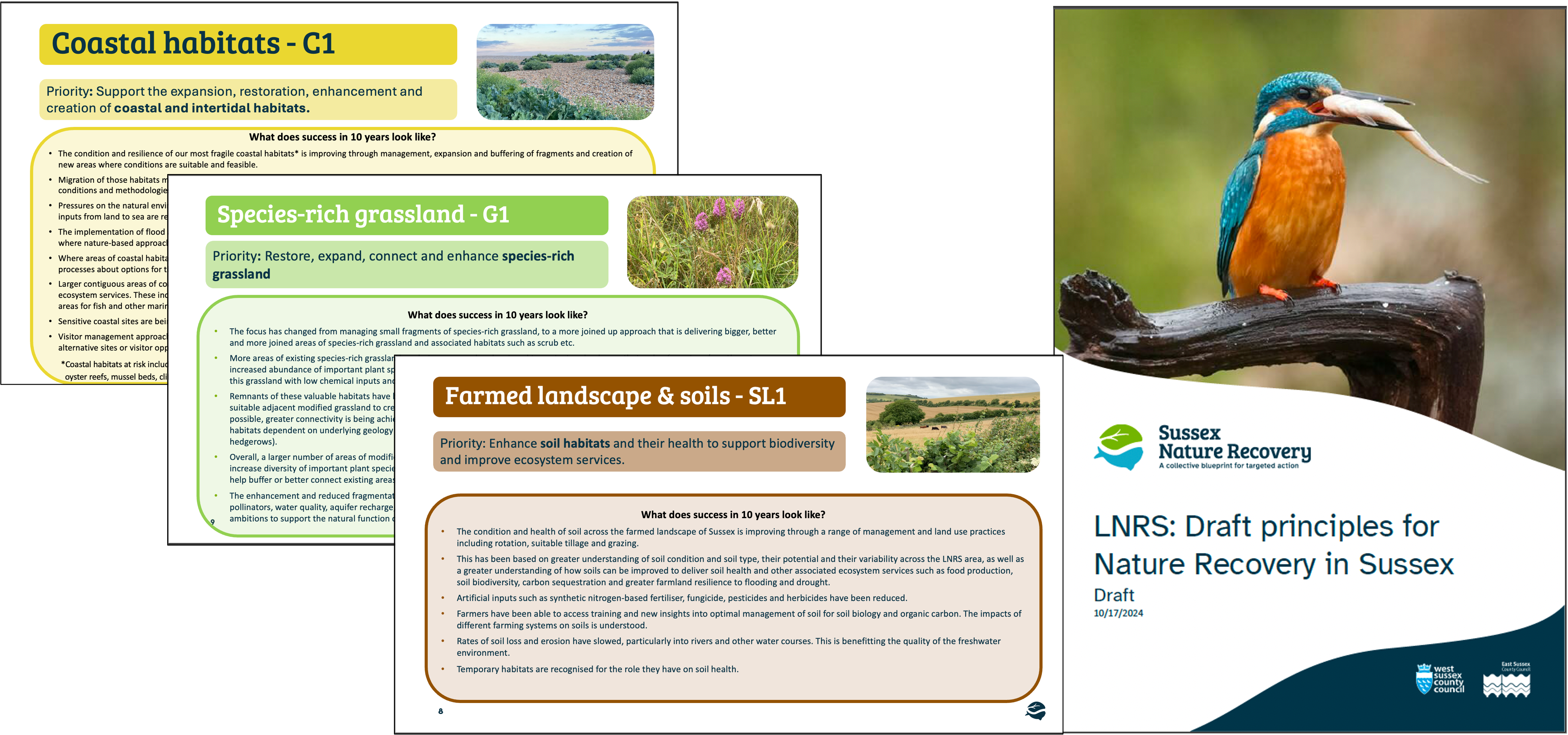 Priorities and principles.png